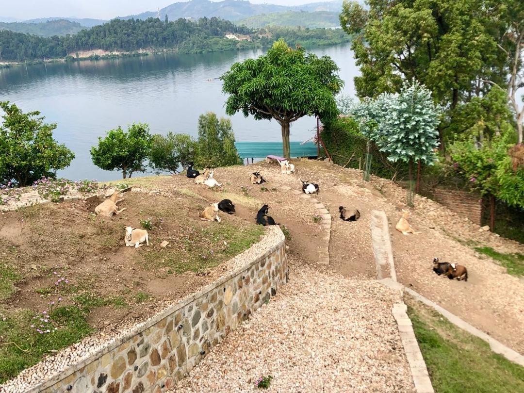 Amazi Land Home And Farm Stay Kibuye Exteriér fotografie
